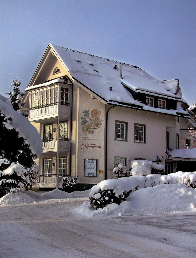 Villa Katharina Penthouse Wohnung Willingen  Dış mekan fotoğraf